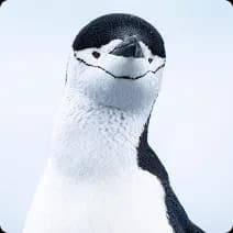 Shaping journeys that matter