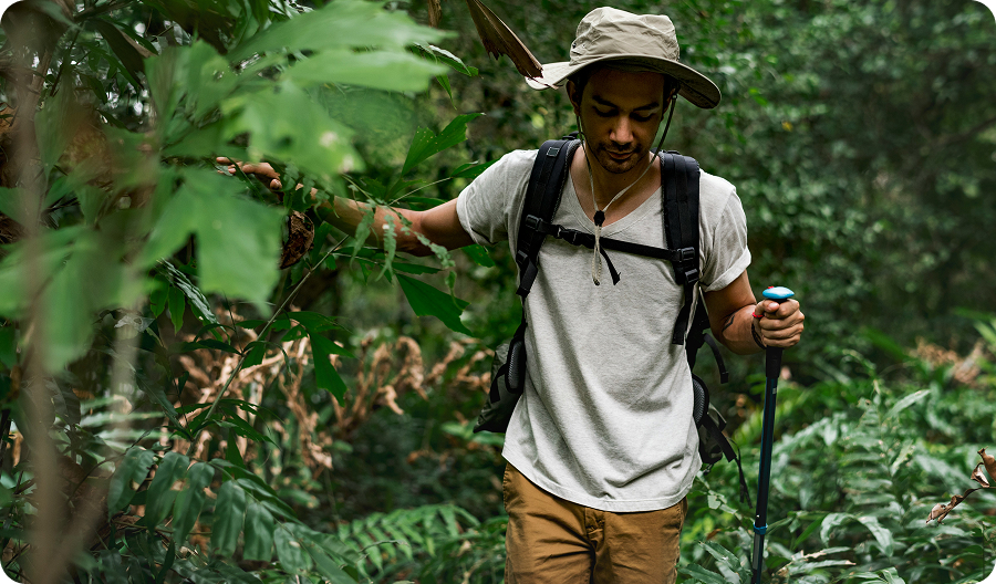 Hike through paradise